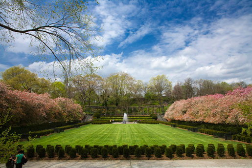 Formal Garden