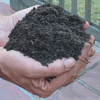Vermicast