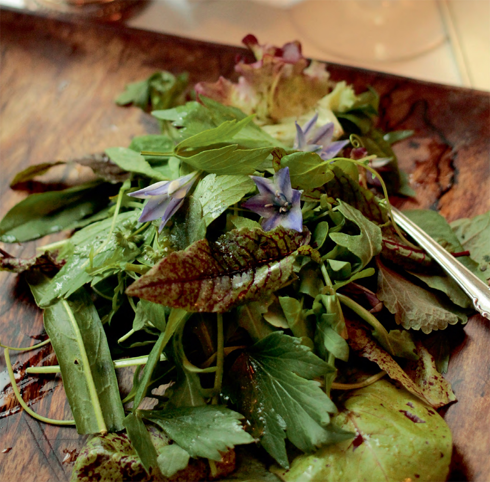 Forager’s salad recipe