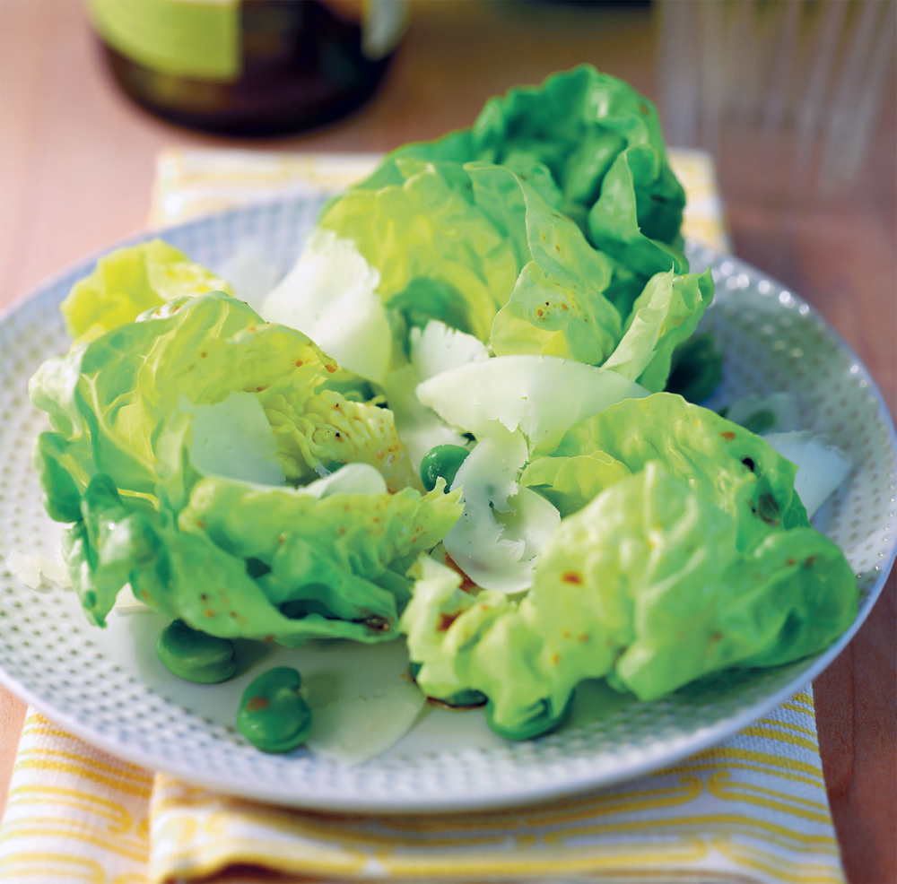 Spring salad of favas and manchego recipe