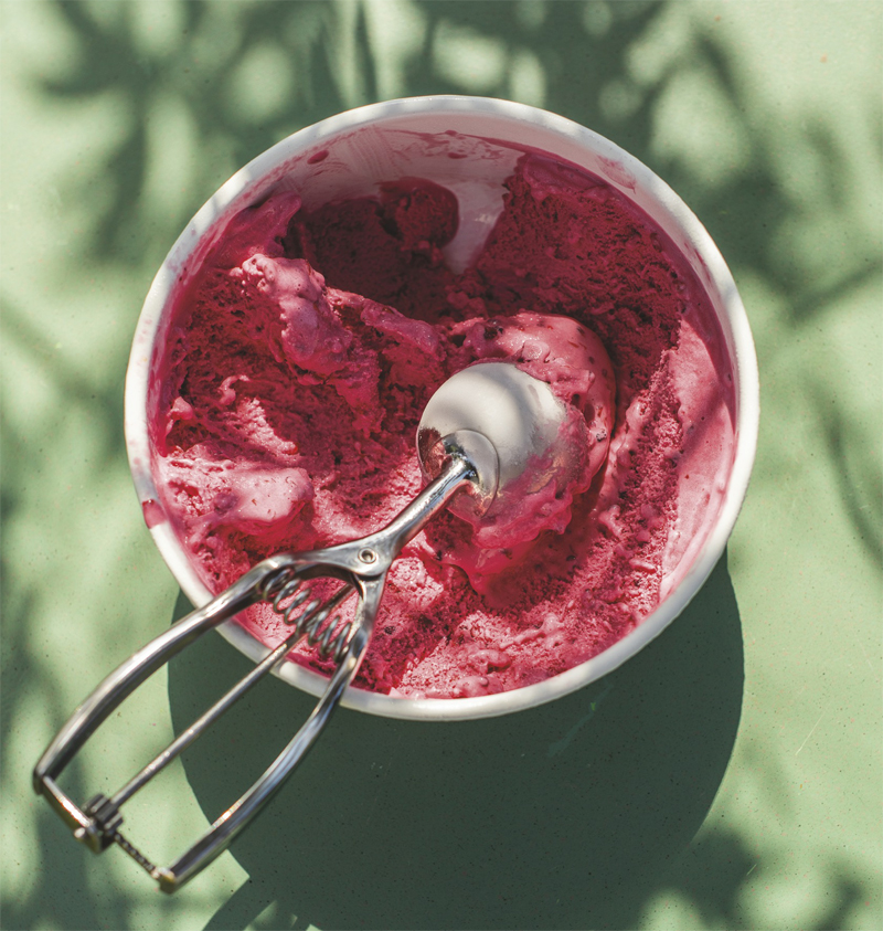 Black raspberry ice cream recipe