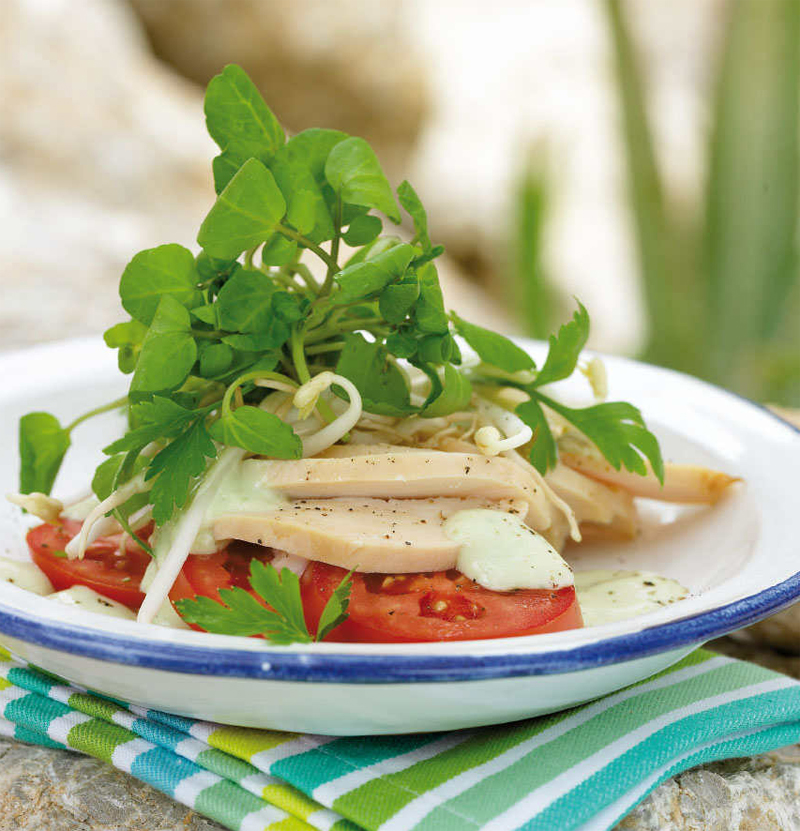 Smoked chicken salad with avocado & tarragon dressing recipe