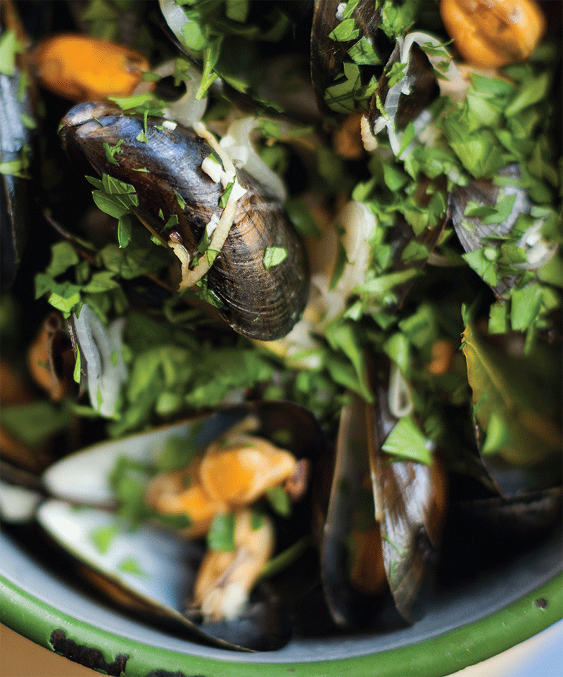 Mussels with cider recipe