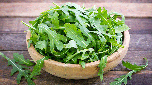 Arugula.gif