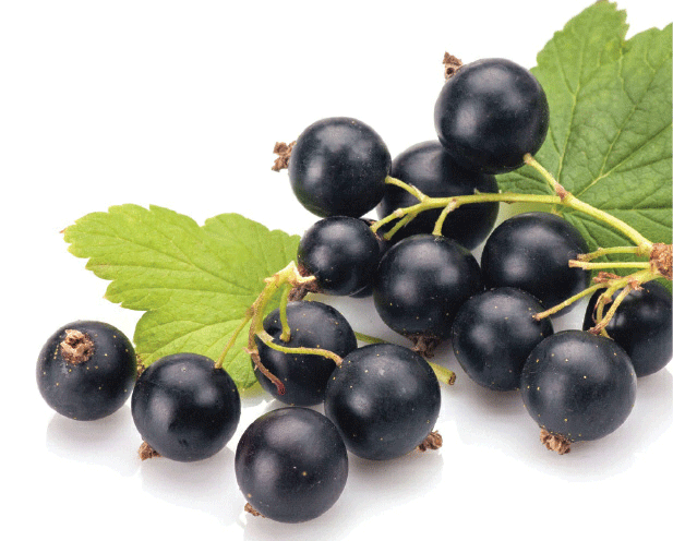 Blackcurrants