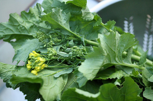 Broccoli Raab