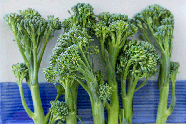 Broccolini.gif