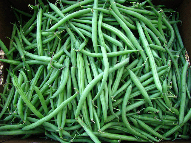 Green-Bean.gif