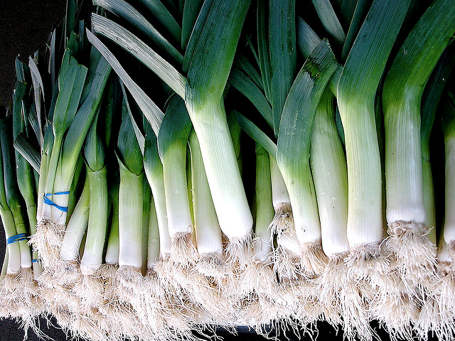 Leek.gif