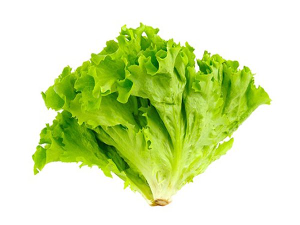 Lettuce