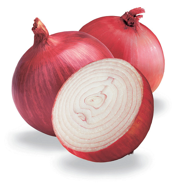 Onion.gif